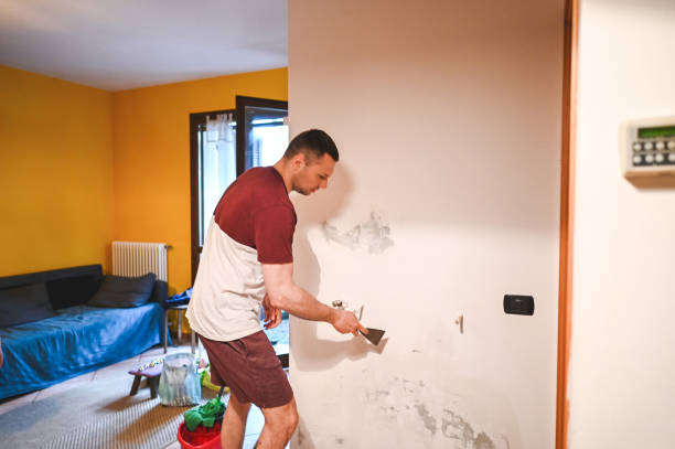 Best Home Mold Removal  in Portales, NM
